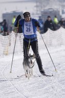 Lenk 2013